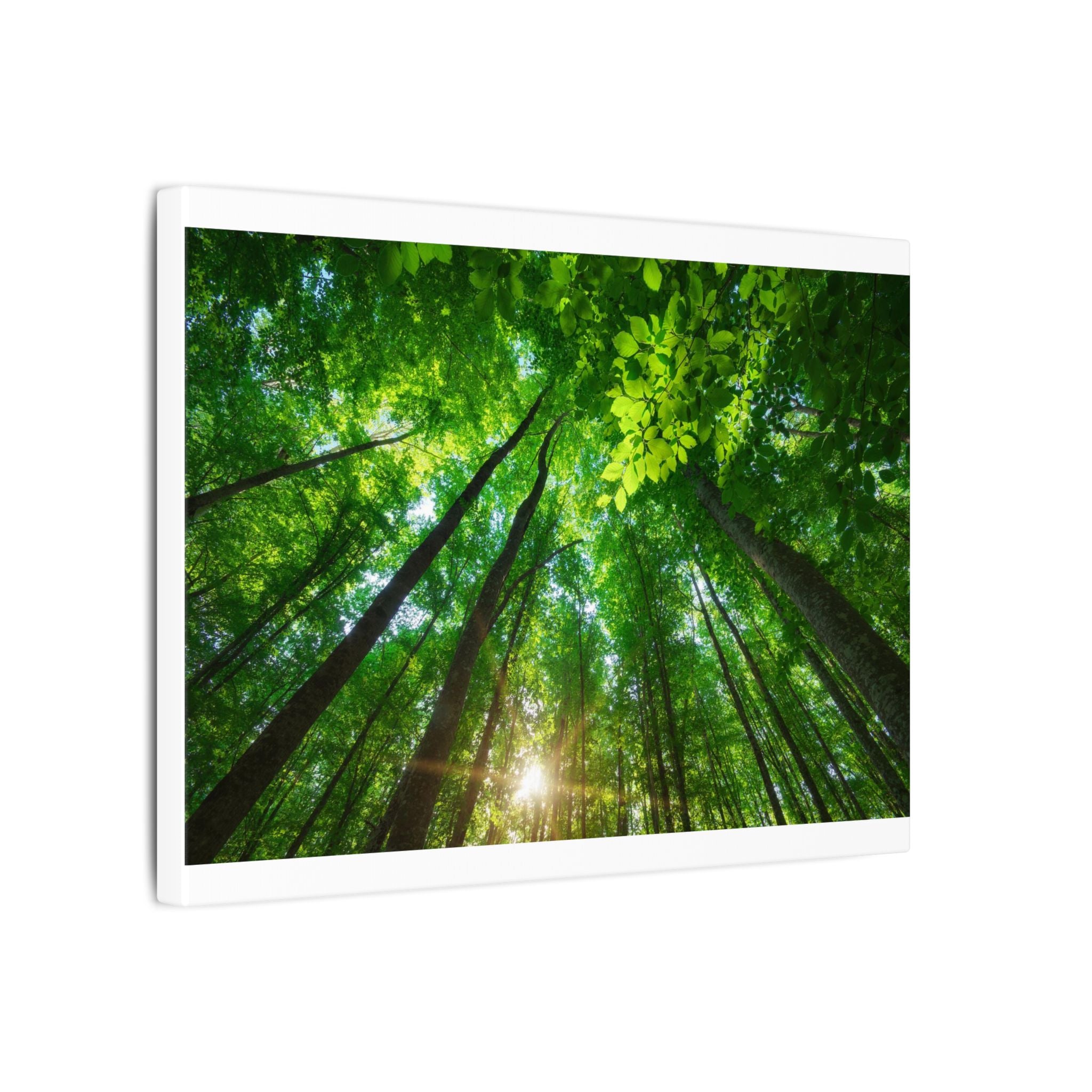 Matte Canvas, Stretched, 0.75" (CODE A95)