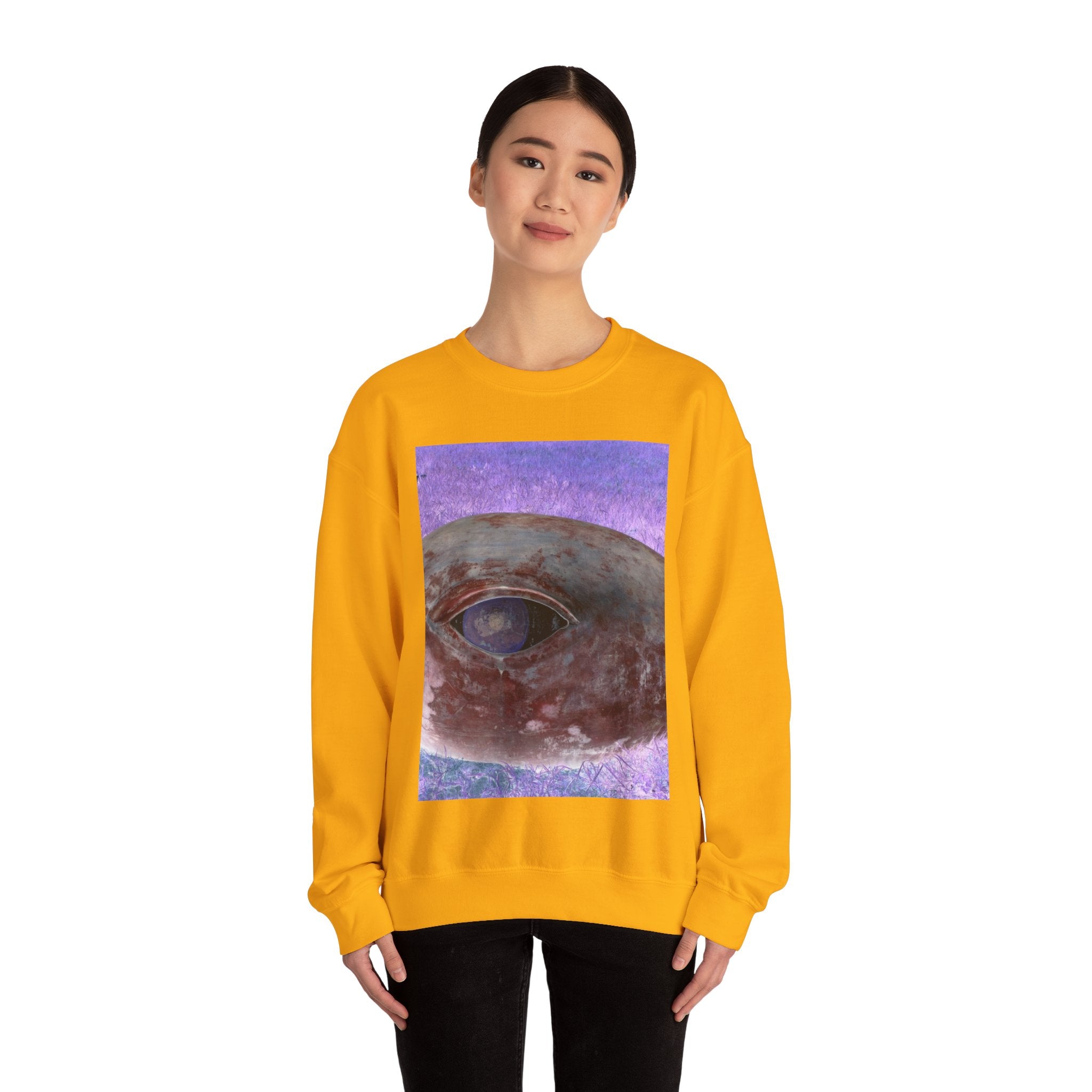 Unisex Heavy Blend™ Crewneck Sweatshirt (A17)