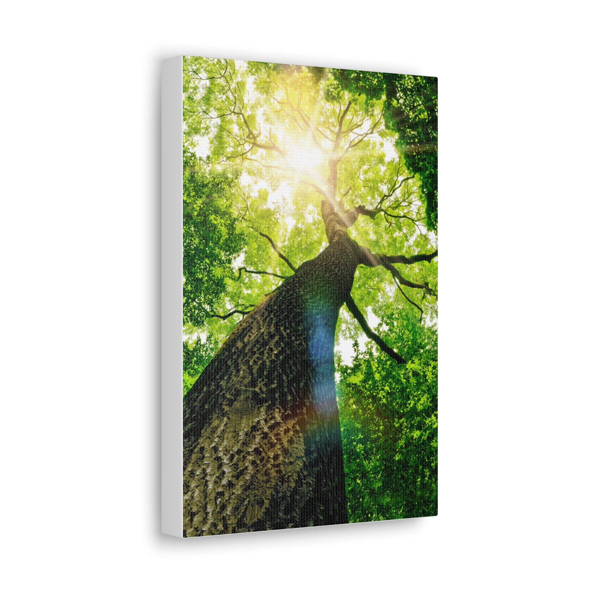 Classic Canvas (CODE A83)