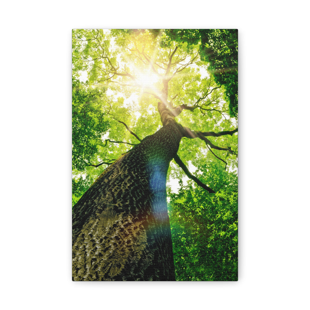 Classic Canvas (CODE A83)