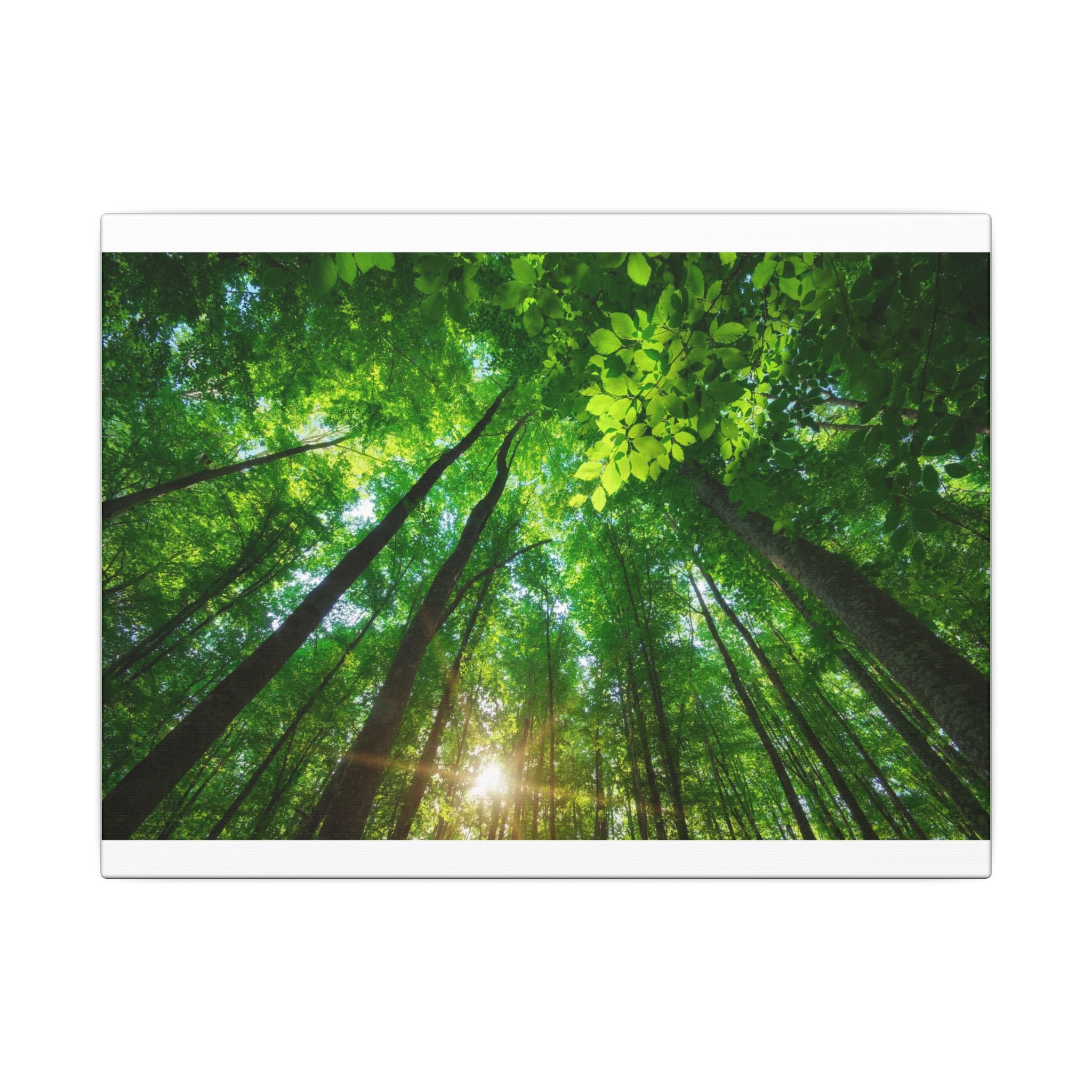 Matte Canvas, Stretched, 0.75" (CODE A95)