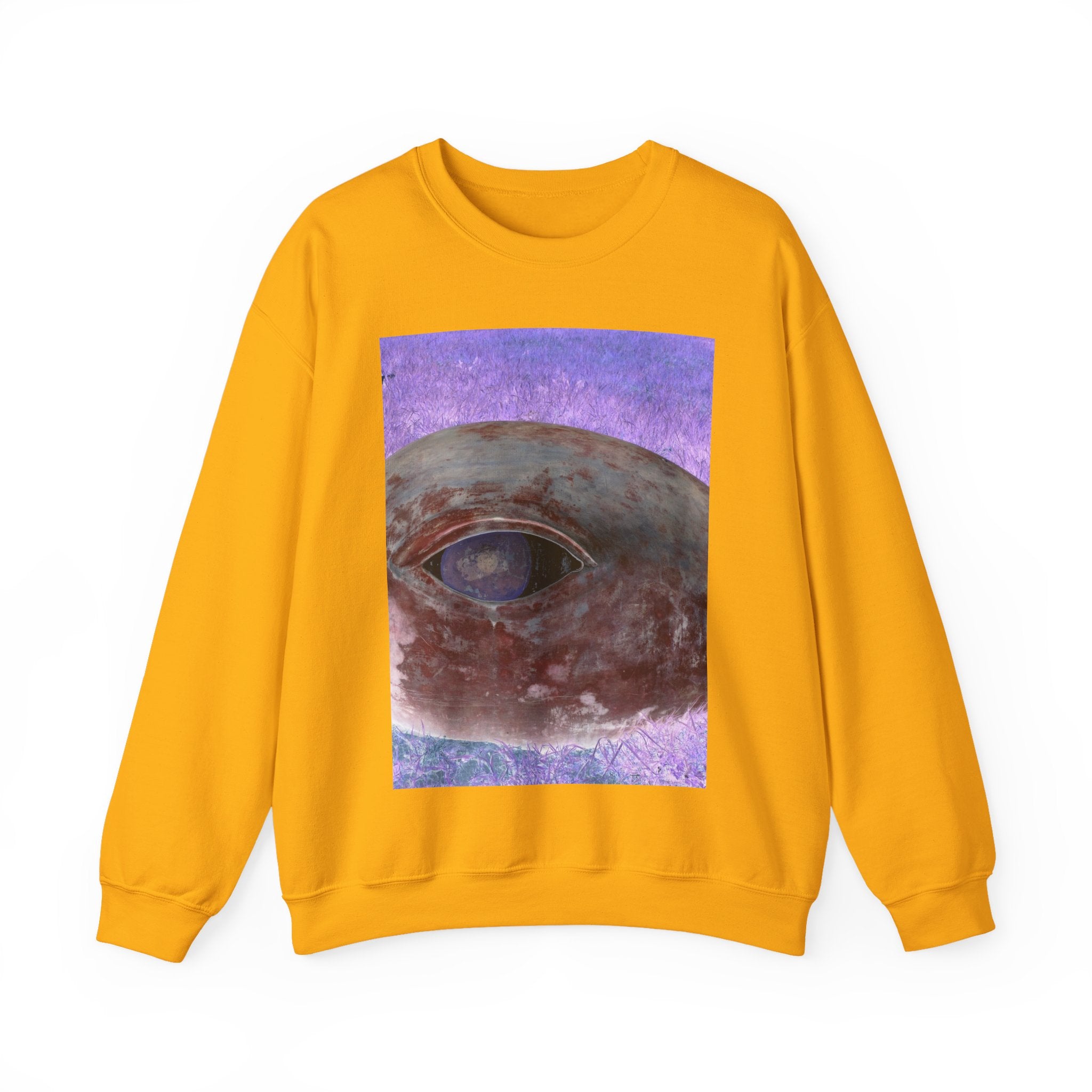 Unisex Heavy Blend™ Crewneck Sweatshirt (A17)